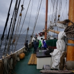 20170411144540_segeln2017vcpnds 20170411144540_segeln2017vcpnds