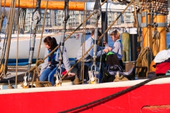 Auf Fahrt Segeln 2019