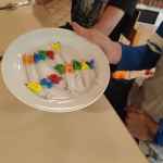 IMG_20191015_150550