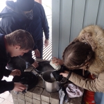 OLYMPUS DIGITAL CAMERA