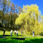 IMG-20190408-WA0001