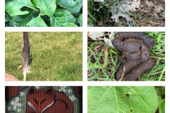 VoLa Workshop Spurensuche