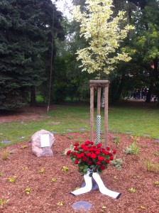 Photo 13-07-2014 12 17 47