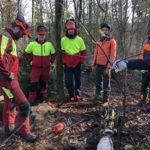 Motorsägen-Grundlehrgang