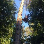 Kletterseminar (Hardau-Kurs)