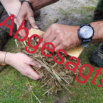 Survival-Seminar