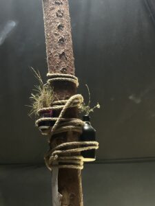 Eine Coladose und eine Flasche sind mit dem Ende des Aufziehseils an einer Jurtenstange befestigt und dienen als Vase für Gräser und vertrocknete Blumen.